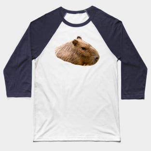 Capybara portrait Baseball T-Shirt
